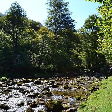 Gites Communaux A Lourdios ภายนอก รูปภาพ