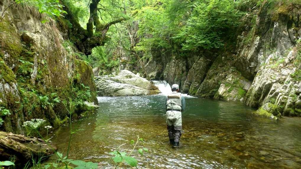 Gites Communaux A Lourdios ภายนอก รูปภาพ
