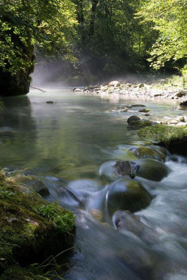 Gites Communaux A Lourdios ภายนอก รูปภาพ