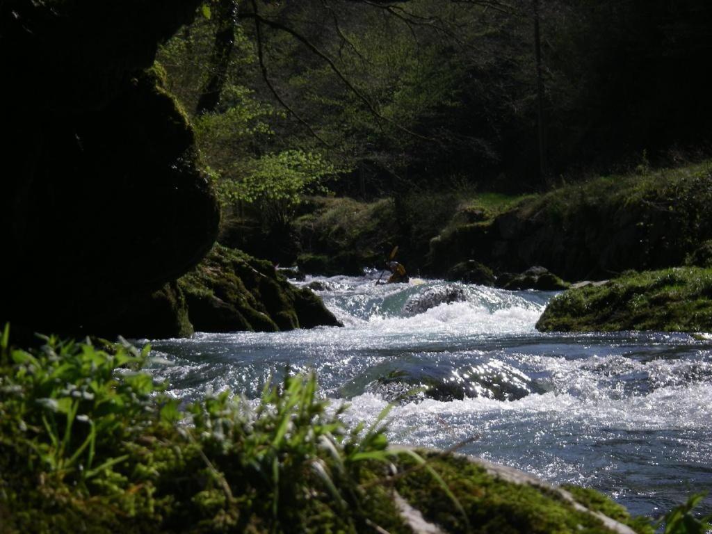 Gites Communaux A Lourdios ภายนอก รูปภาพ