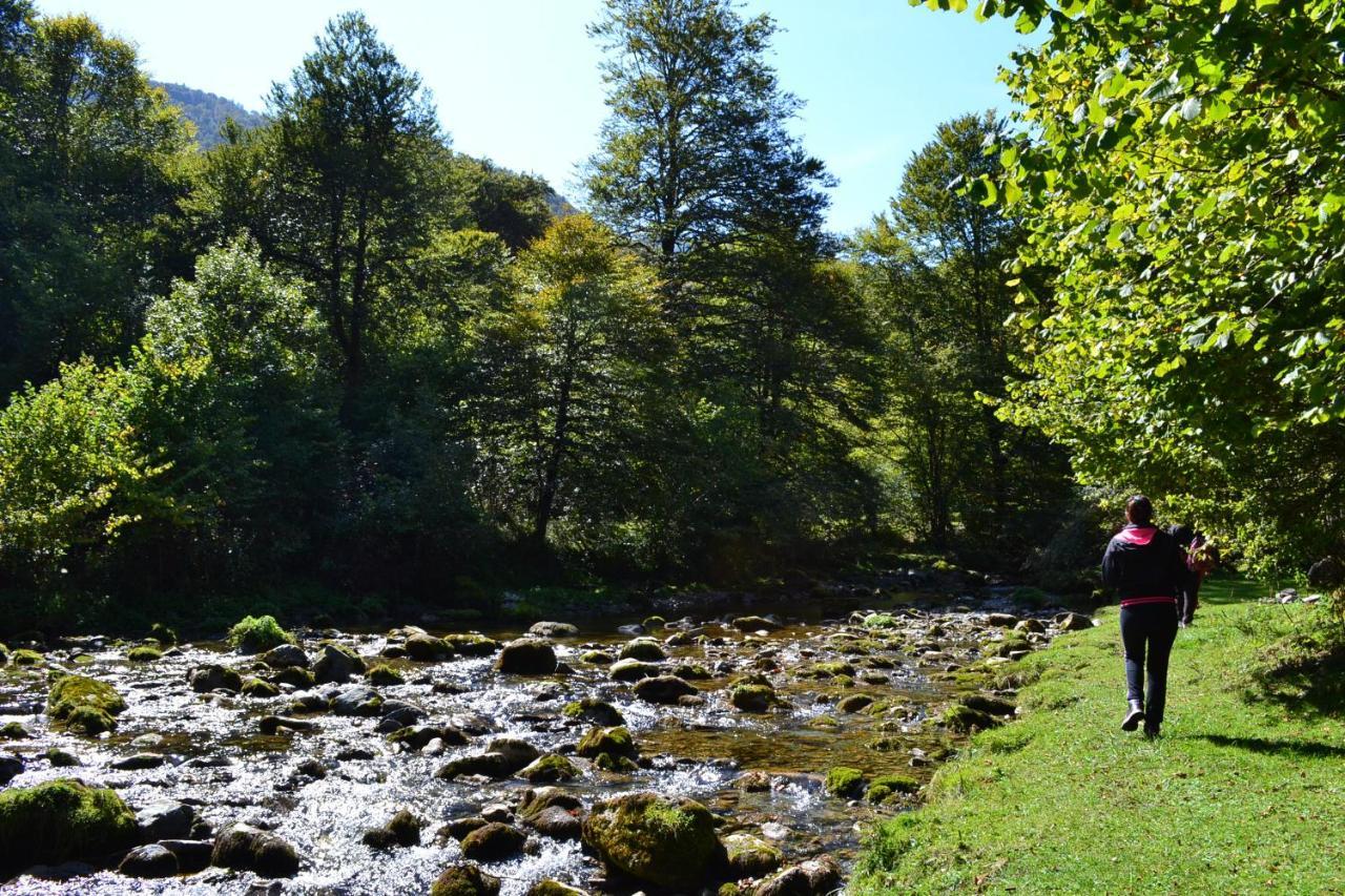 Gites Communaux A Lourdios ภายนอก รูปภาพ