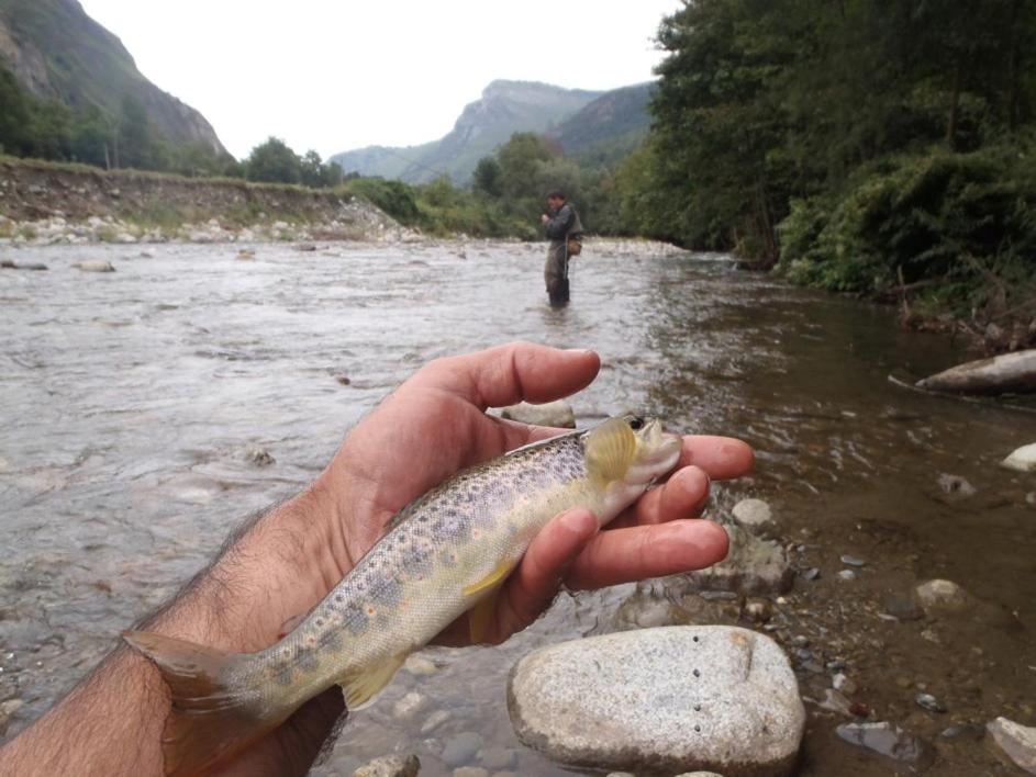Gites Communaux A Lourdios ภายนอก รูปภาพ