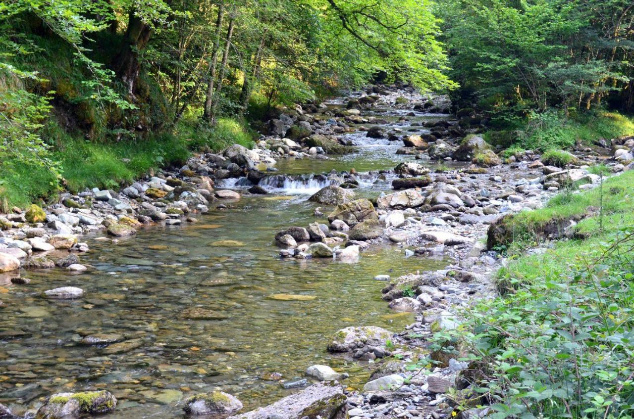 Gites Communaux A Lourdios ภายนอก รูปภาพ